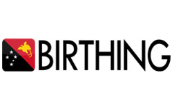 Wirtschaftsinformatik Projekt BIRTHING