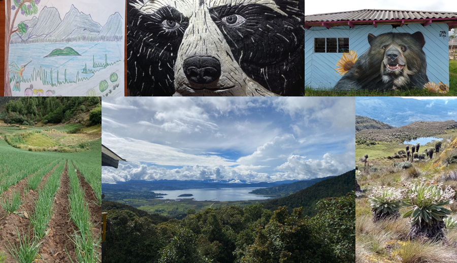 Lake Guamuez (i.e., La Cocha), Museo Lago de Tota (in Lake Tota), and Páramo and farming landscapes (Lake Tota)